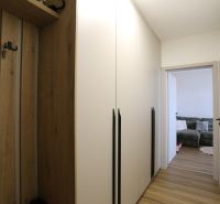 A hallway in a 2-room apartment with furniture and a wooden decor floor.