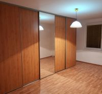 A wardrobe with sliding doors, a mirror, and a floor with a wooden decor in a 3-room apartment.