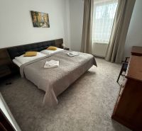 Bright room in hotels and guesthouses with a double bed, curtains, and art on the wall.