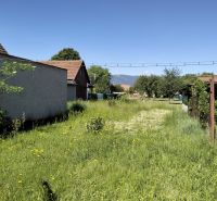 A garden at a family house on Štúrova Street in Sučany with grass and shrubs.