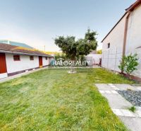 A garden of a family house in Senica with a lawn, a tree, and two buildings.