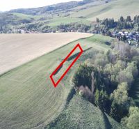 Agricultural and forest lands around Čierny Balog with a marked section on the slope.