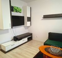 Living area of a studio apartment with a television, cabinets, a couch, and a wooden decor floor.