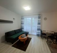 A studio apartment with a wooden floor, a sofa, a coffee table, and a dining table.
