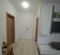 A hallway with white walls, a floor with a wooden decor, and a wardrobe in a studio apartment.