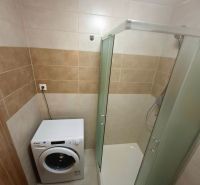 A bathroom in a studio apartment with a washing machine and a shower.