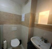 A bathroom in a studio apartment with a sink, toilet, and walls tiled.