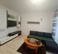 Studio apartment with a sofa, coffee table, and wooden decor flooring.