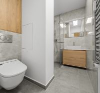 Bathroom in a 3-room apartment with a shower, sink, and wall-mounted toilet with a wood decor.