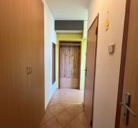 A hallway with a wardrobe and a coat rack in a studio apartment with tiles and wooden decor.