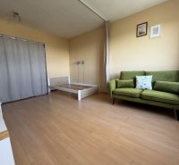 A room in a one-bedroom apartment with a sofa, bed, and wood-patterned flooring.