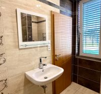 A modern bathroom in a family house with a sink and a mirror on the wall.