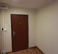 Entrance hall with brown doors in a 2-room apartment, tiles.
