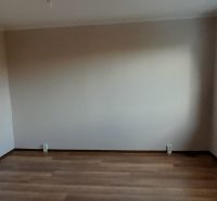 A room in a 2-room apartment with a wood-patterned floor and a large window.