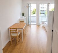 Bright 1-room apartment with wood-patterned flooring, overlooking the balcony.