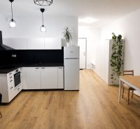 A kitchen in a studio apartment with a black extractor hood and a floor with a wood decor.