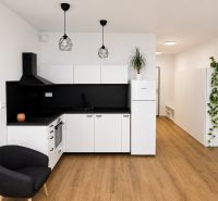 A kitchen in a studio apartment with white cabinets, black details, and a wood-patterned floor.