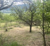 A natural environment surrounded by trees in Jablonov nad Turňou suitable for a cottage.