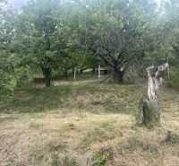 A garden with a lawn and trees around the cottage in Jablonov nad Turňou.