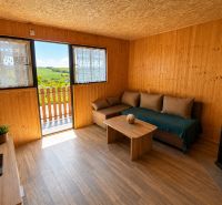 Living room in a cottage with a sofa, television, and wooden decor flooring, view of the landscape.