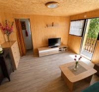 Interior of a cabin with wood-patterned flooring, TV, sofa, flowers, and cabinets.
