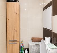 Toilet in a 2-room apartment with a storage cabinet, bin, and cleaning supplies.