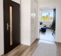 A hallway in a 2-room apartment with a wooden decor floor, leading to the living room.