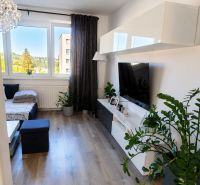 Living room with a sofa, table, and television, with a wooden decor floor.