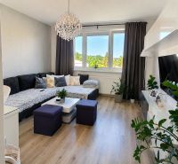 Living room in a two-room apartment with a sofa, television, and wooden decor flooring.