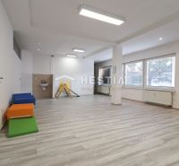 Interior of commercial spaces with wood-patterned flooring, light walls, and large windows.