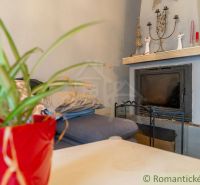 In the family house, there is a sofa, a fireplace, decorations, and a houseplant in a red pot.