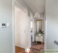 A hallway in a family house with a wooden decor floor, white walls, and a mirror.