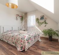 A bright bedroom in a family house with a wood-patterned floor and plants.