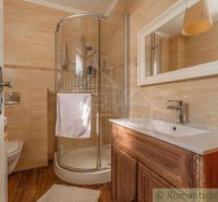 A bathroom with wooden decor, a shower enclosure, and a sink in a family house.