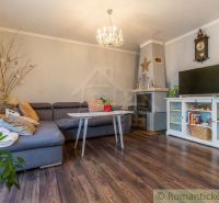 Living room in a family house with a fireplace, corner sofa, and wooden decor flooring.