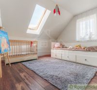 Children's room with a bed, wooden decor, and a skylight in a family house.