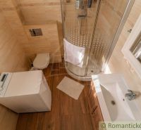 Bathroom with a washing machine, shower, and wooden decor flooring in a family house.