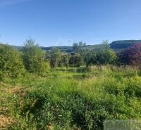 Greenery, trees, and a grassy area in the gardens of Podkylava with mountains in the background.