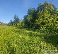A green residential plot in Podkylava surrounded by trees and a blue sky.