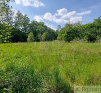 Greenery and trees on the plots - living in Podkylava with a blue sky.