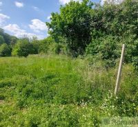 Greenery and trees on a plot in Podkylava, suitable for living.
