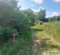 Path through green vegetation and meadow in Podkylava, Land - housing.