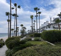 View of the beach and palm trees at Dominion Beach in Estepona.