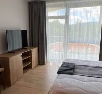 In the recreational apartment: bed, TV on wooden furniture, floor with wooden decor, large window.