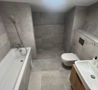 Bathroom with shower, bathtub, and mirror in the Holiday Apartment.