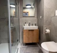 The bathroom of a holiday apartment with a sink, shower, and stylish gray tiles.