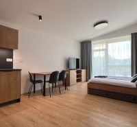 Recreational apartment with wooden decor, kitchen, dining table, and bed.