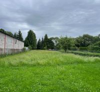 A grassy yard with fruit trees and a building in the background in Ľubeľa near a family house.
