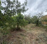 Residential plots in Bratislava - Jarovce with trees and grass under a cloudy sky.