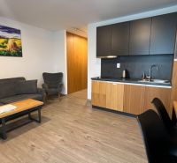 Living area with a kitchenette, sofa, armchair, and wooden decor flooring in the Recreational Apartment.